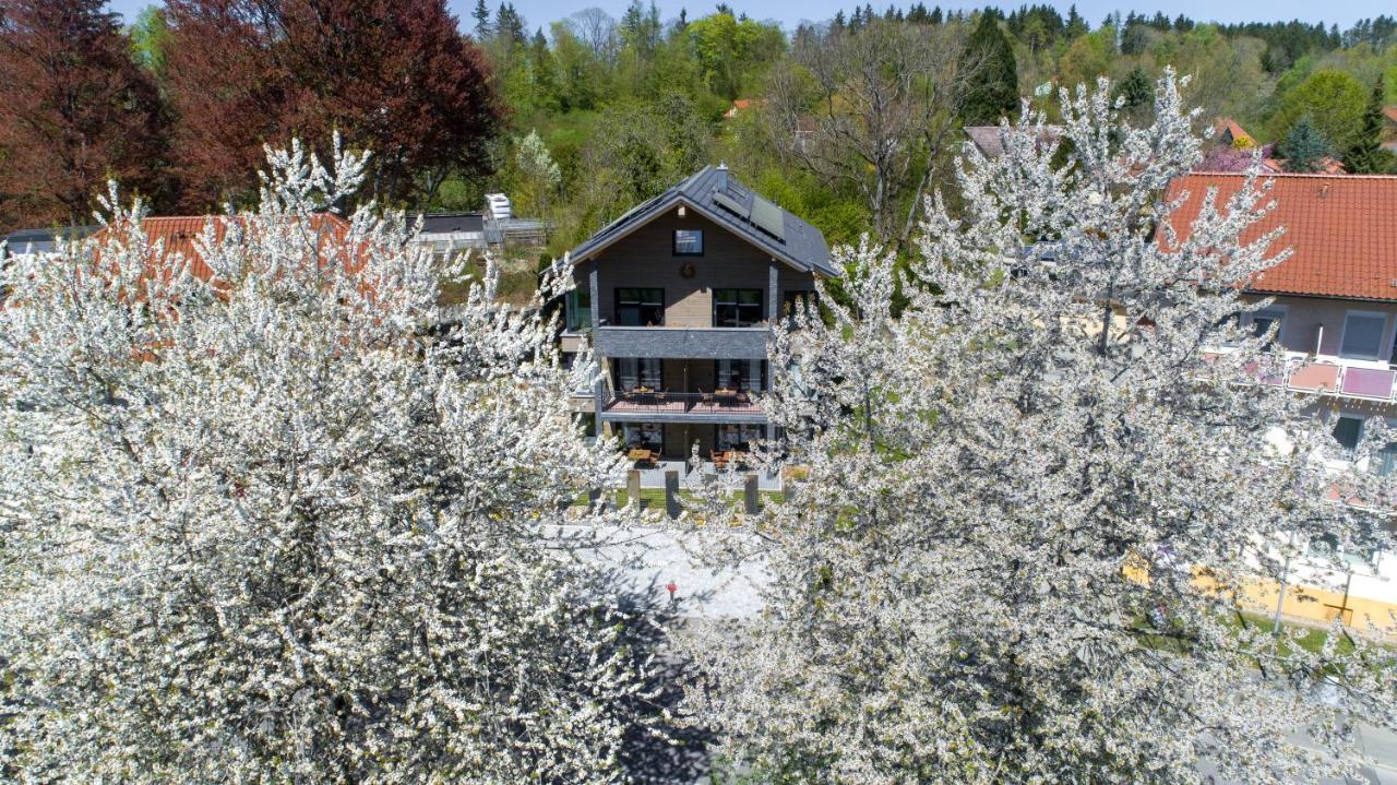 Invita Natur-Chalets Penthouse - Familienurlaub Im Schwarzwald - 240Qm باد درهيم المظهر الخارجي الصورة